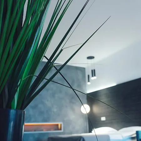 Arkadia * Odessa
