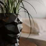 Arkadia * Odesa