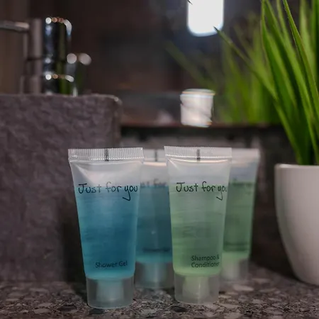 Arkadia Love hôtel *