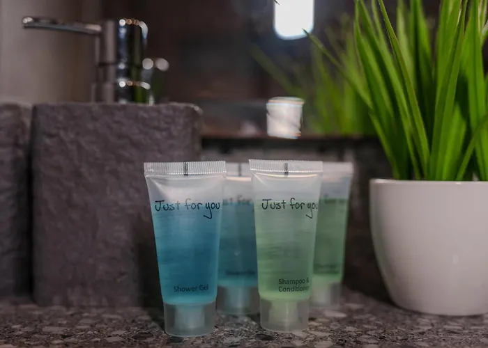 Arkadia Love hôtel *